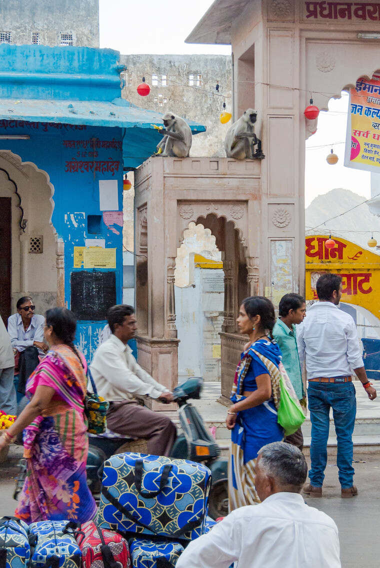India 2014 - Pushkar 020.jpg